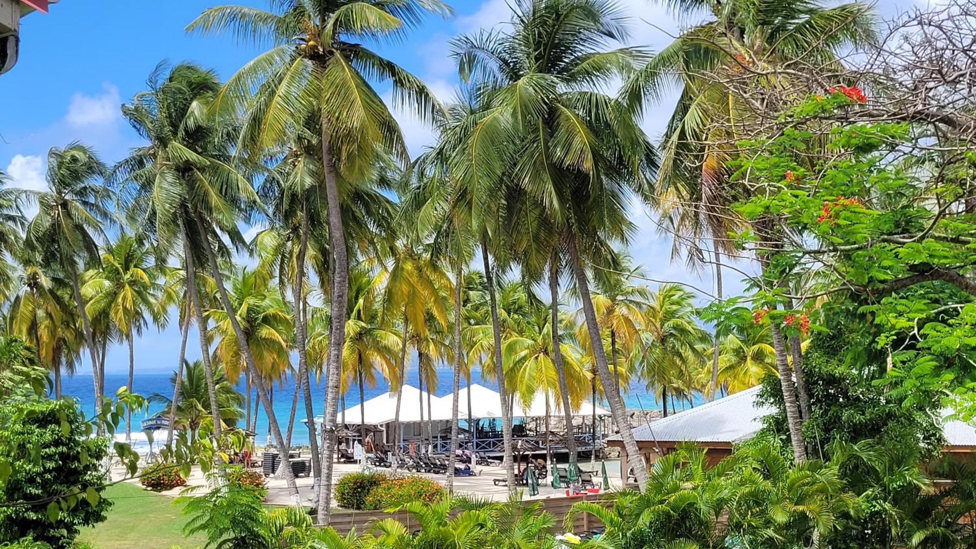 Appartement Edenoa/Vue Mer/ Plage/Piscine Le Gosier  Eksteriør bilde