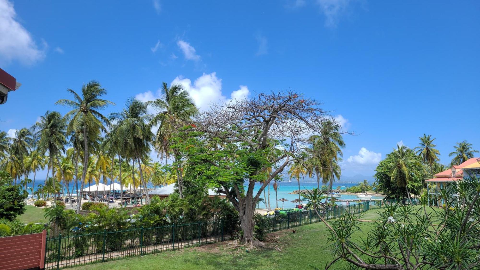 Appartement Edenoa/Vue Mer/ Plage/Piscine Le Gosier  Eksteriør bilde